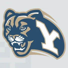 Brigham young cougars 2